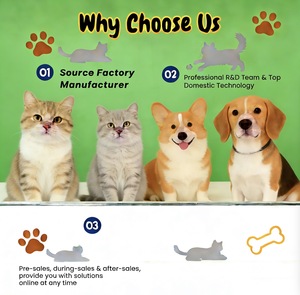 Tabletas Antiparasitarias de Marca Privada <span class=keywords><strong>para</strong></span> Gatos y Perros, Ayuda Digestiva, Mantiene la Limpieza Interna - Product Image 3