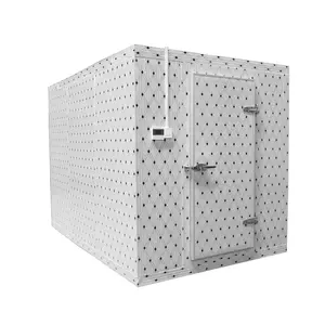 Conteneur frigorifique utilisé par chambre froide de chambre froide de stockage de congélateur Entreposage frigorifique mobile intelligent