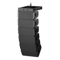 Enceinte Line Array passive professionnelle en bois à double haut-parleur de 10 pouces avec une puissance de sortie de 800W/1000W pour une utilisation en extérieur et sur scène