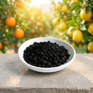 Humate de potassium et acide humique en gros pour l'agriculture – Humate de potassium minéral dérivé, granulés irréguliers - Product Image 2