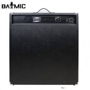 Amplificateur Combo Guitare Basse Acoustique Professionnel 15 Pouces 250W avec Haut-Parleur ACTIF pour Scène et DJ - Product Image 2