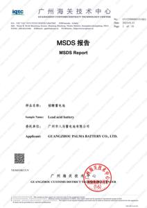 Palma 12v40ah chu kỳ sâu kín Pin axít chì cho hệ thống dự phòng và Viễn Thông - Product Image 6