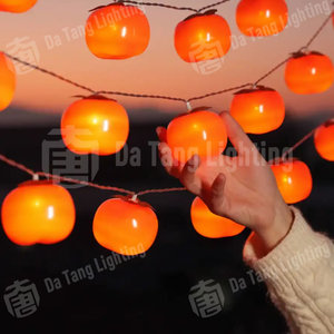 Lumières décoratives LED IP65 aux couleurs vives, ajoutant un charme festif aux allées de jardin et aux espaces extérieurs - Product Image 5