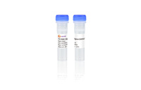Réactif de recherche de haute qualité Génétique T4 DNA Ligase Enzyme NGS Library