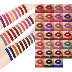 DIY Matte Liquid Lipstick Lip gloss Pigment Multi Tubes Machen Sie Ihre eigenen Lippen Make-up Private Label