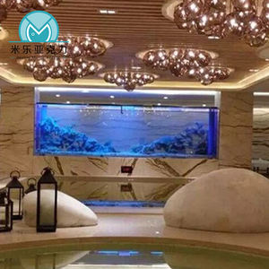 Offre Spéciale grand aquarium rectangulaire en acrylique, une pièce, accessoires d'aquarium pour aquariums - Product Image 6