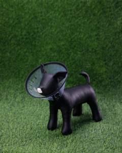 <span class=keywords><strong>Dog</strong></span> Cone E-Halsband Einstellbar nach der Operation, Recovery E-Halsband, Kunststoff-E-Halsband, Toggles & Turn Key Locking Mechanism - Product Image 4