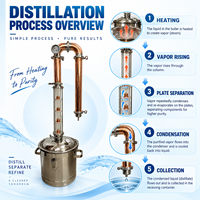 Distillateur Commercial en Verre de Haute Qualité avec Plaque à Bulles en Cuivre et Acier Inoxydable 30L, Certifié CE, Fabrication Usine