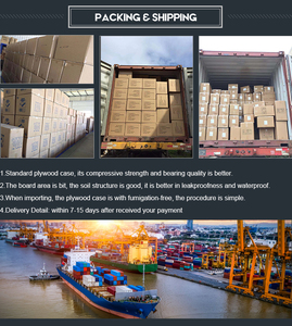 大人用おむつXLサイズホブドシートABDL大人用おむつ漏れガード使い捨て不織布プリントODM/OEM日本 - Product Image 6