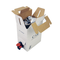 Sacs sous vide personnalisés en aluminium durable et résistant à l'humidité pour vin, café infusé à froid en boîte avec bec verseur et robinet, emballage plastique