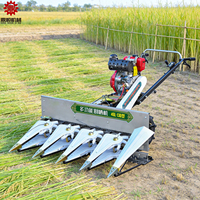 Matériel agricole : Petite moissonneuse manuelle pour luzerne, machine de coupe de fourrage, moissonneuse d'ensilage pour roseau et sorgho, machine de coupe de maïs et de piment