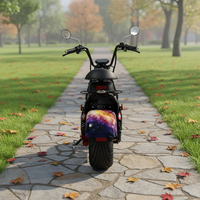 Moto électrique Citycoco 2000W 45km/h à longue autonomie, batterie au lithium 200kg, en alliage d'aluminium, étanche, très vendue