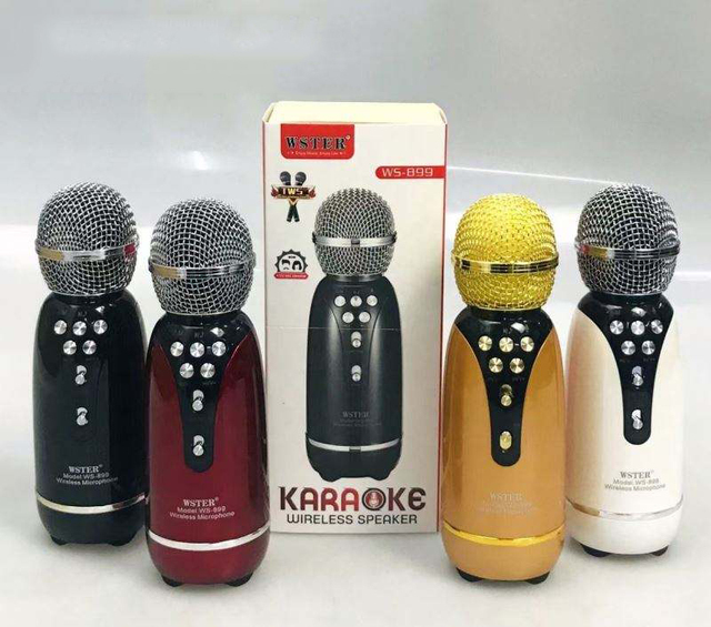 WS899 Portable Rechargeable Home Theatre System Wireless Mini BT Karaoke Speaker With Microphone