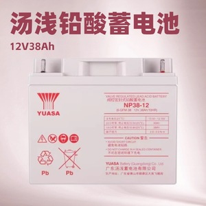 YUASA NP38-12 12V 38Ah VRLA <b>Battery</b> For <b>UPS</b> Power Backup Systems - Product Image 2