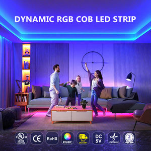 Bande lumineuse LED intelligente RGBIC RGB RGBW WS2812 WS2811 DMX 5V Rgbic adressable COB, prix de gros - Product Image 6