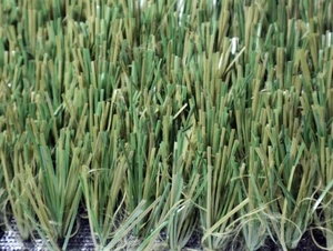 Màu kép tổng hợp bóng đá cỏ Thảm sợi cho lĩnh vực sân vận động sân bóng đá lĩnh vực - Product Image 3