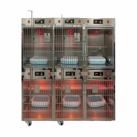 Cage pour animaux de compagnie en acier inoxydable personnalisable avec lumière chaude et affichage de la température pour chats, chiens, usage en clinique vétérinaire