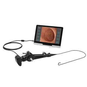 LHWTK12 Multi-fonction 10 Pouces Écran Tactile Pet Gastroscopie Cystoscopie Vaginoscopie Portable Vet Endoscope Système - Product Image 1