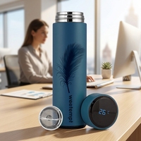 Gobelet d'isolation sous vide numérique à double paroi de 450ml bouteille intelligente en acier inoxydable affichage de la température LED batterie à boire directement