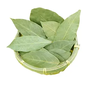 New Corp Bay Leaves Laurel Leaf 100% Natural Valuable Flavoring Gourmet Culinary Hot Sale Cooking Herbs