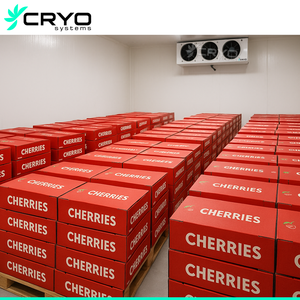 Zuurstofgereguleerde Atmosfeeroplossingen Precisiegestuurde Atmosfeeropslag Voor Fruitgroentebloemen - Product Image 2