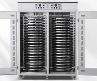 Déshydrateur alimentaire efficace 220V pour légumes, séchoir rapide
