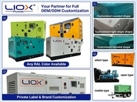 Cummins 20kW 50kW 80kW 100kW 25kVA 62kVA 100kVA 125kVA Geräuscharmer 3-Phasen Wassergekühlter Dieselgenerator mit ATS Autostart
