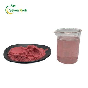 Fornecimento de fábrica Preço a granel <span class=keywords><strong>100</strong></span>% puro natural suco de frutas de framboesa em pó extrato de framboesa em pó liofilizado framboesa em pó - Product Image 3