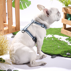 Laisse pour chien en <span class=keywords><strong>jacquard</strong></span>, avec <span class=keywords><strong>quincaillerie</strong></span> en alliage de zinc durable, laisse de promenade pour animaux de compagnie - Product Image 3