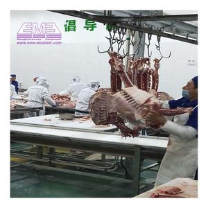 Abattoir <span class=keywords><strong>halal</strong></span> pour bovins/chèvres, convoyeur à bande à moteur électrique à haute productivité, ligne d'abattage de bœuf/mouton/porc, <span class=keywords><strong>boucherie</strong></span> - Product Image 4