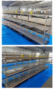 Cage à poulets ventilée de haute qualité avec système d'alimentation pour élevage avicole, équipement de ferme avicole, longue durée de vie - Product Image 6