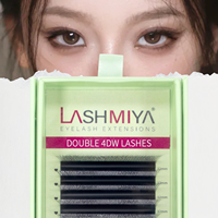 Extensions de cils croisés faites à la main de haute qualité, épaisseur 0.07, courbure C/D, en PBT coréen, faciles à éventail, EYELEGANCE 8DW 12 rangées