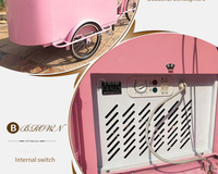 Chariot à glace mobile rose à pédales avec congélateur de 108L, vélo électrique à 3 roues, chariot de vente de nourriture pour adultes