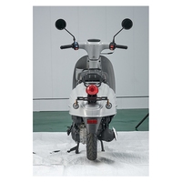 Scooter de rue économique 50cc 4 temps refroidi par air, homologué EEC Euro5, démarrage électrique, frein à disque, réservoir de 5,4 L pour adultes