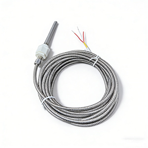 高精度 G1/2 ネジ式 PT100 プラチナ熱抵抗器 工業用温度センサー シングルプローブ 3 線式システム - Product Image 1