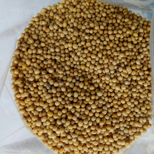 1kg di cina sfuso semi di senape bianca cruda per le spezie - Product Image 4