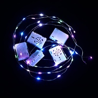 Guirlandes lumineuses LED étanches en fil de cuivre, fonction musicale, commande manuelle, boîte à piles, blanc neutre 4100K, pour la décoration florale