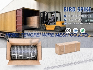 Piques <span class=keywords><strong>anti</strong></span>-oiseaux en acier inoxydable 304 massif, résistantes à la rouille, écologiques, résistantes aux intempéries, <span class=keywords><strong>anti</strong></span>-pigeons et <span class=keywords><strong>anti</strong></span>-courailles |   Utilisation commerciale, double rangée - Product Image 6