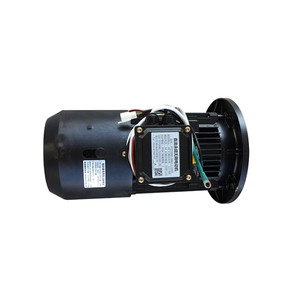 BLDC 48V 60V 72V 3000W Permanent Magnet Motor with Worm <b>Gear</b> <b>Box</b> for Home Appliance & Electric Bicycle - Product Image 2