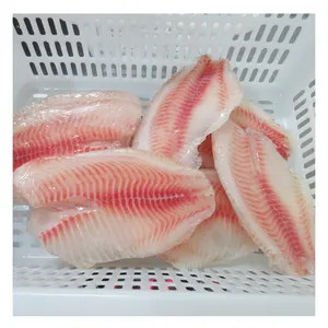 Pemasok Fillet ikan nila beku ukuran Fillet Tilapia tanpa tulang 2-3 3-5 5-7 7-9 oz dengan harga yang kompetitif