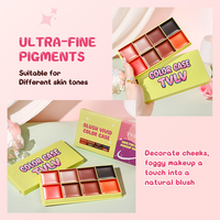 Palette de fards à joues hautement pigmentés, longue tenue, teinte pour les joues imperméable, fini naturel et éclatant, maquillage de marque privée