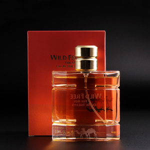 Eau de Toilette Clásica con Logotipo Personalizado para Hombre, Servicio OEM Profesional, Perfume en Botella de Vidrio Geométrica, Pedido al por Mayor - Product Image 1