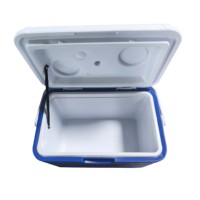 Glacière de pêche portable 10L en PU isolé - Mini glacière pour le stockage d'appâts vivants et d'aliments avec poignée