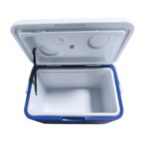 Nevera Portátil de Pesca con Aislamiento de PU de 10L - Mini Caja Refrigeradora para Almacenamiento de Cebo Vivo y Alimentos con Asa - Product Image 2