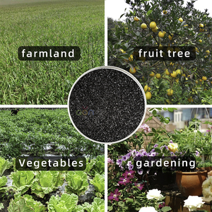 Axit humic + Axit amin pha trộn cho sức khỏe của đất, sức sống gốc và sức đề kháng căng thẳng | OEM/ODM cung cấp - Product Image 3