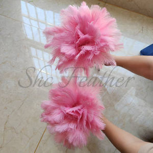 <span class=keywords><strong>Plumeau</strong></span> d'autruche <span class=keywords><strong>rose</strong></span> de style boutique avec motif teint à effet antistatique et manche en bois massif - Product Image 1