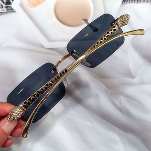 แว่นกันแดดทรงสี่เหลี่ยมเล็กไร้กรอบ รุ่นใหม่ล่าสุดปี 2022 แฟชั่นผู้หญิง สีสันสดใส โลหะผสม ลายเสือดาว สำหรับผู้ชาย - Product Image 4