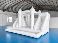 Château gonflable pour enfants sur le thème du cirque commercial, toboggan, aire de jeux gonflable, 5x4M, matériau PVC, extérieur, enfants, JIALE JL-3007
