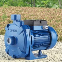 TECHNIC POWER Pompe à eau électrique pour irrigation de surface 1HP SCM100 0.75KW auto-amorçante