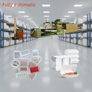 Equipo de Fabricación de Bandejas para Huevos y Cajas de Alimentos de Espuma de Poliestireno PS, Línea de Producción de Contenedores Desechables - Product Image 2